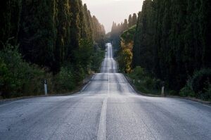 Cesta Via Bolgherese
