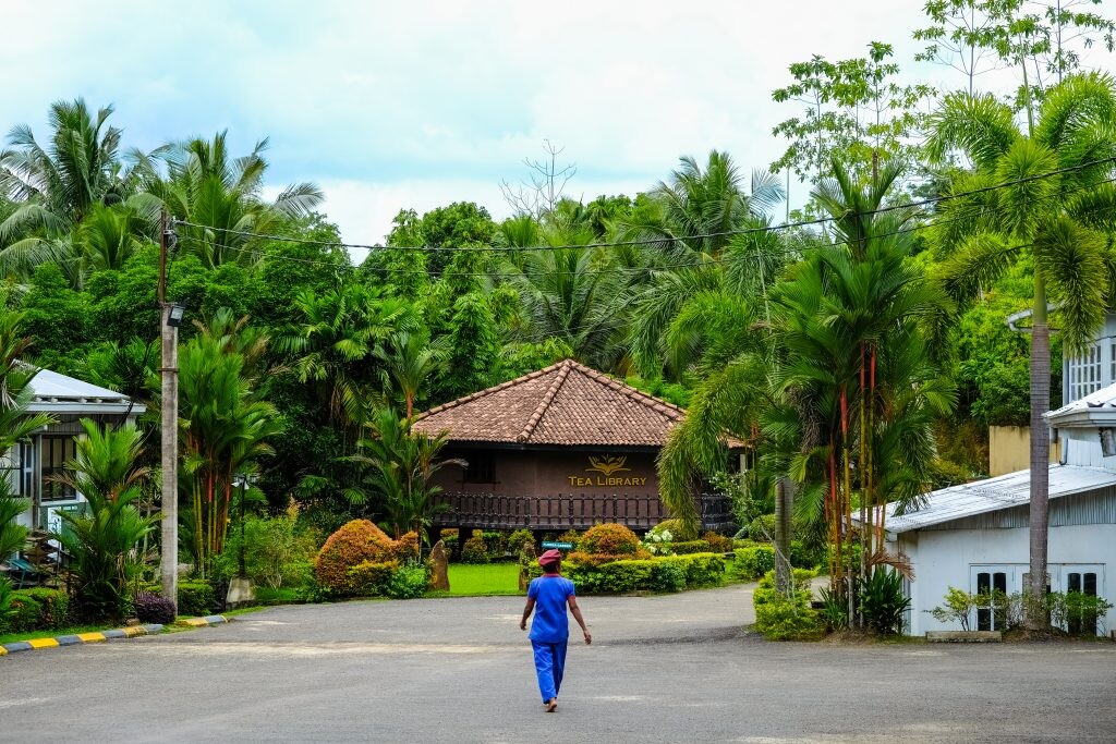 Žena kráčajúca po ulici na Srí Lanke. 