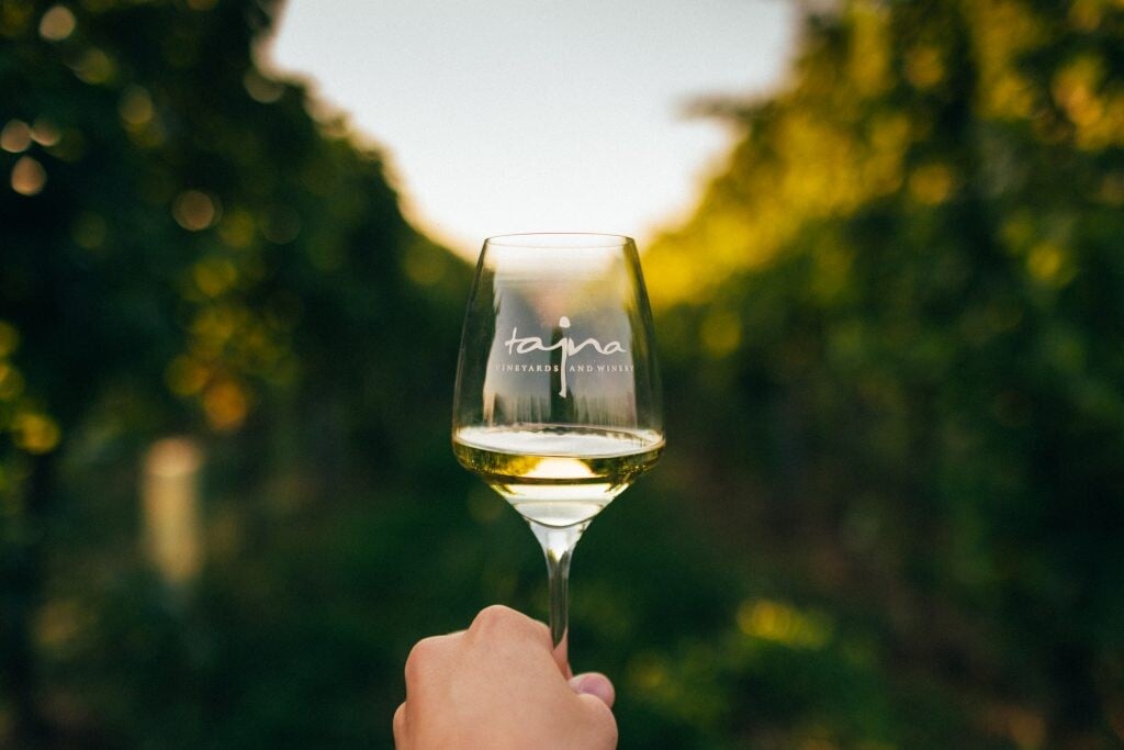 pohár s bielym vínom značky TAJNA Vineyards &amp; Winery, v pozadí je vinohrad