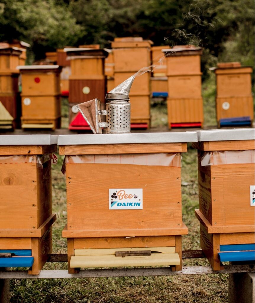 Projekt Adoptuj úľ už podporili stovky ľudí, medzi jeho podporovateľov sa radia aj firmy. 