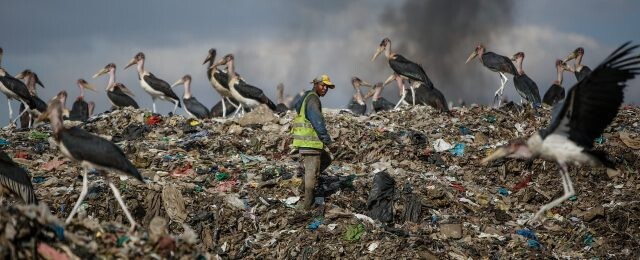 Svet je zavalený plastovým odpadom, je tu však nádej. Číňania ho dokážu rozložiť